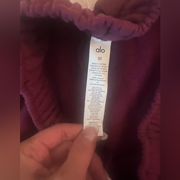 Alo Accolade sweatpant - perfect condition - Picture 5 of 8